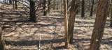 3528 West Virginia Road - Photo 18