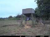 3528 West Virginia Road - Photo 4