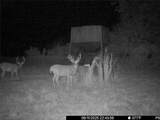 3528 West Virginia Road - Photo 45