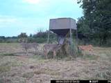 3528 West Virginia Road - Photo 46