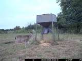 3528 West Virginia Road - Photo 47