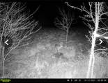 29001 219th Street - Photo 66