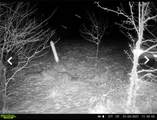 29001 219th Street - Photo 67