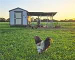 27722 Groh Road - Photo 46
