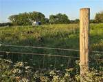 27722 Groh Road - Photo 49