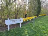 12129 Hardy Street - Photo 68
