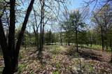 00000 Millwood Road - Photo 9