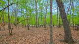 Lot #499 Grand View Drive - Photo 3