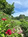 16023 Jesse James Farm Road - Photo 85