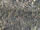  Irwin Road - Photo 26