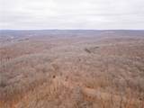 80 +/- Acres Proctor Lane - Photo 69