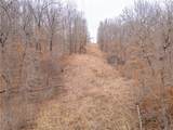 80 +/- Acres Proctor Lane - Photo 73