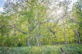  T Road - Photo 25