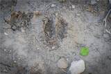 T Road - Photo 27