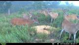  T Road - Photo 31