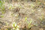  T Road - Photo 39