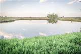  T Road - Photo 52