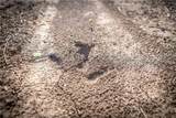  T Road - Photo 77