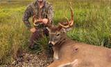  T Road - Photo 88
