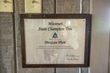 65200 Sultan Road - Photo 47