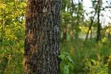 Offutt Road - Photo 66