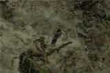  Offutt Road - Photo 76