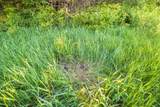  775 Road - Photo 45