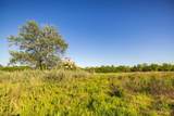  775 Road - Photo 48