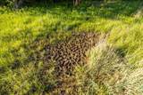  775 Road - Photo 50