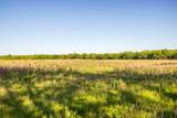  775 Road - Photo 51
