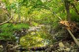  775 Road - Photo 55