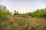 15800 State Route 7 Highway - Photo 20