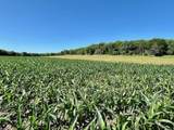 10.66 Acres M/L 800 Road - Photo 6