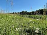 10.66 Acres M/L 800 Road - Photo 7