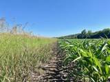10.66 Acres M/L 800 Road - Photo 8