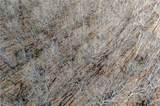 xx Tract 1 Lindley Road - Photo 13