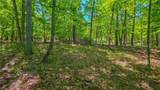 Lot #1190 Spring Creek Drive - Photo 3