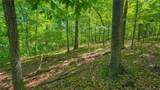Lot #1190 Spring Creek Drive - Photo 4