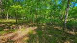 Lot #1190 Spring Creek Drive - Photo 5
