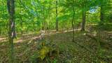 Lot #1190 Spring Creek Drive - Photo 10