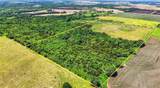 23719 Golden Road - Photo 4
