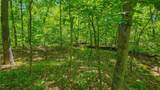 Lot #1148 Spring Creek Drive - Photo 3