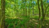 Lot #1148 Spring Creek Drive - Photo 6