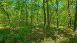 Lot #1148 Spring Creek Drive - Photo 7