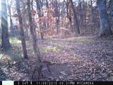 8005 Se State 116 Highway - Photo 53