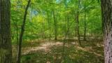 Lot #1150 Spring Creek Drive - Photo 3