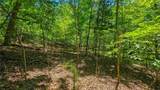 Lot #1150 Spring Creek Drive - Photo 5