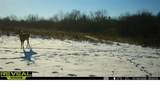  Tbd Oo Highway - Photo 8