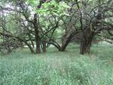 0000 118th Street - Photo 2