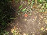 0000 118th Street - Photo 12